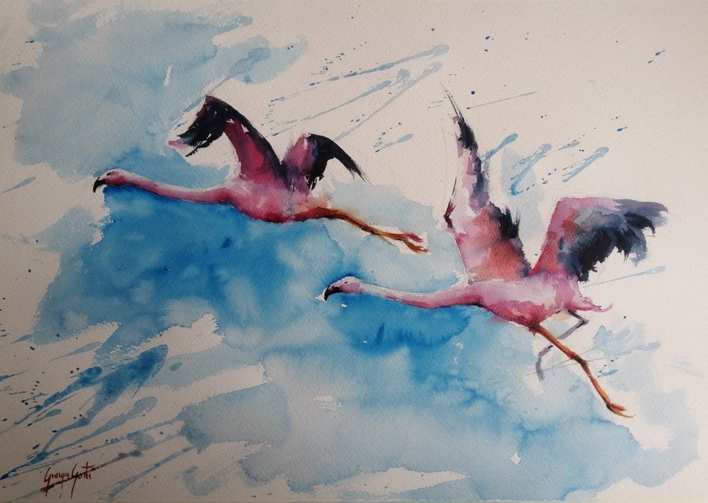 Vol de flamants roses aux couleurs vives - Giorgio Gosti