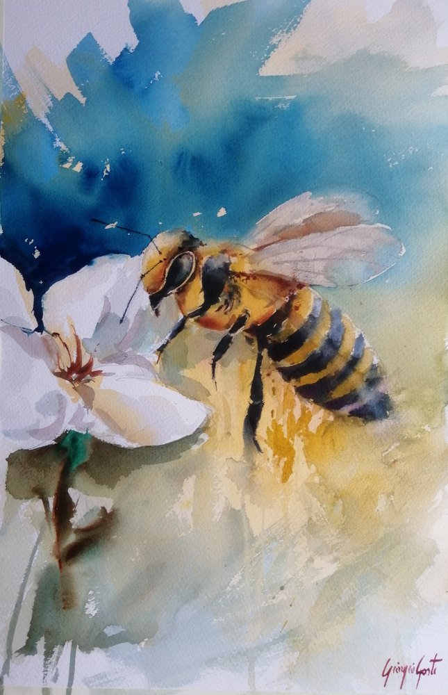 Abeille sur une fleur, aquarelle - Giorgio Gosti