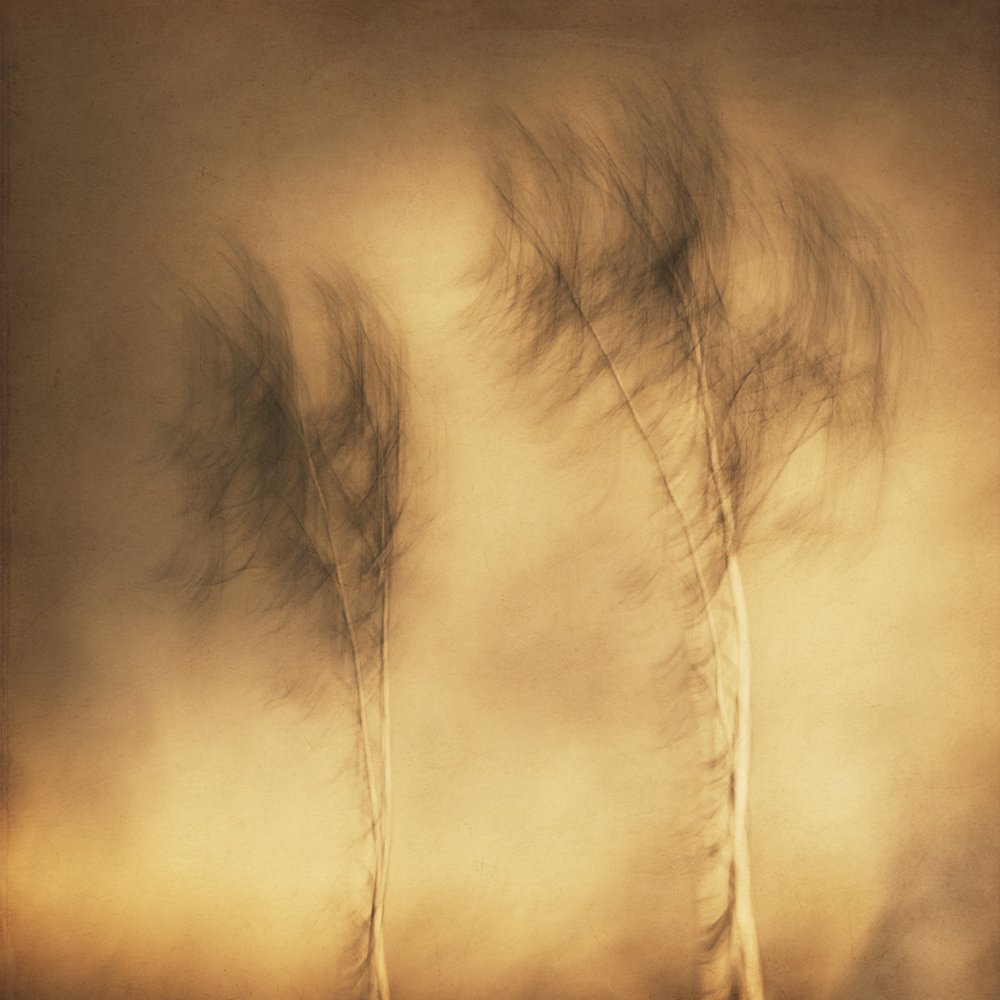 - Gustav Davidsson