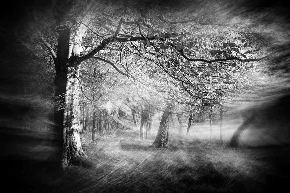  - Gustav Davidsson