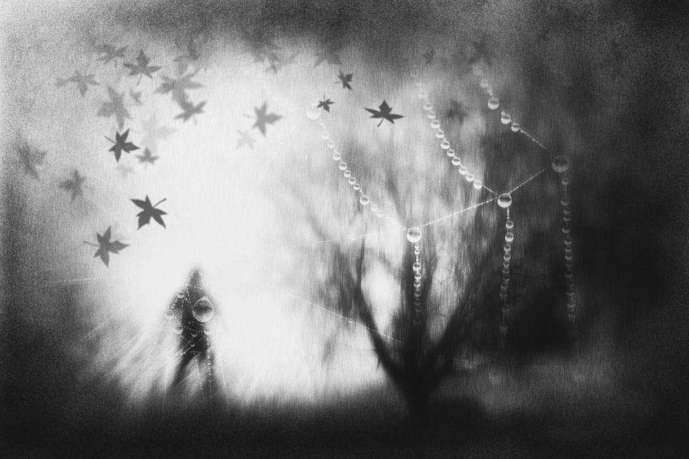  - Gustav Davidsson