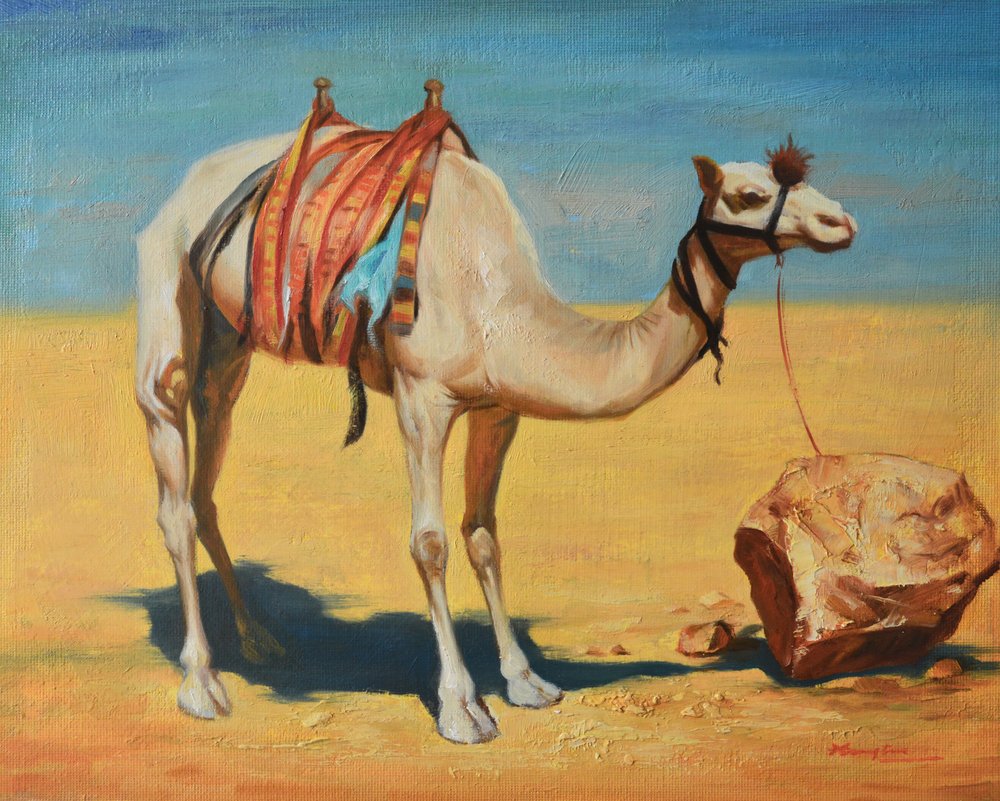 Chameau du désert attaché - Hongtao Huang
