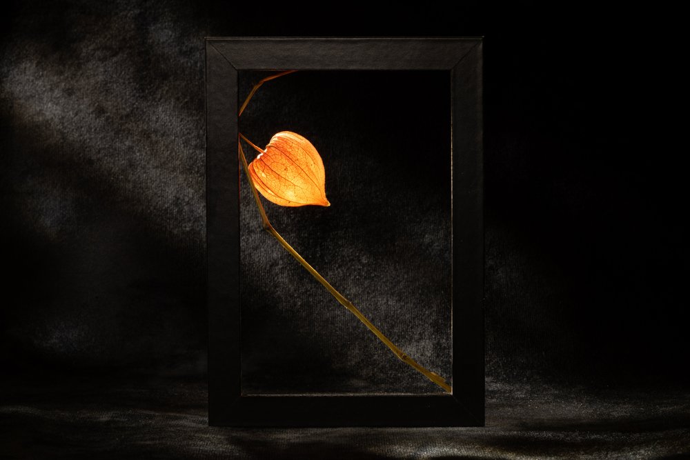 Lanterne chinoise lumineuse - Igor Kopcev