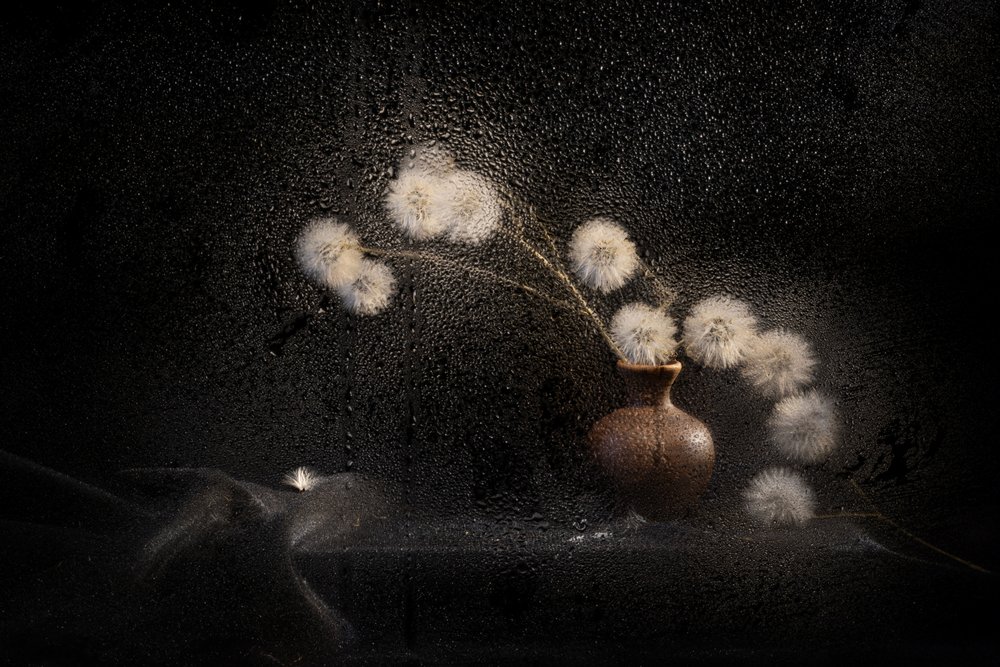 Nature morte mélancolique au pissenlit - Igor Kopcev