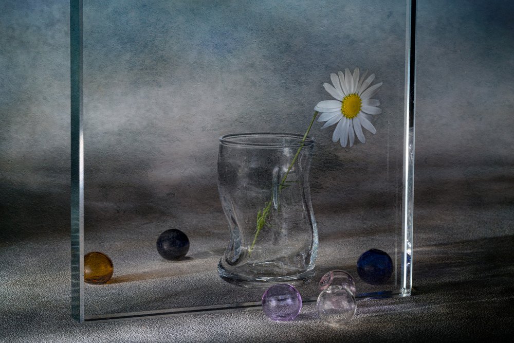 Reflets paisibles de marguerites - Igor Kopcev