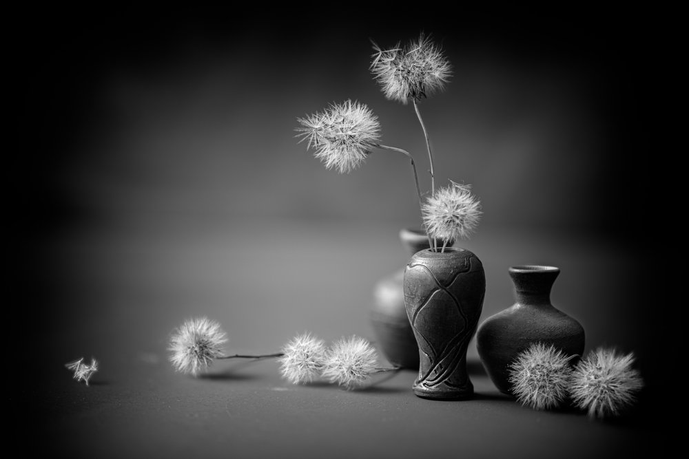 Sereins vases de pissenlits - Igor Kopcev