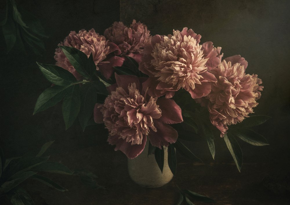 Élégantes pivoines roses - Igor Tokarev