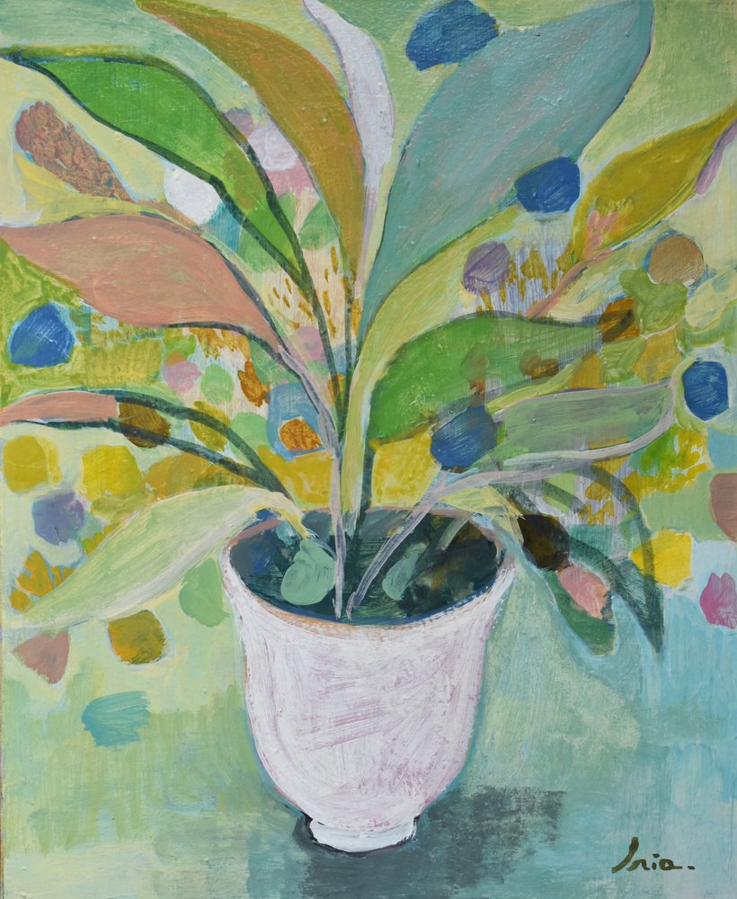 Plante en pot colorée - Iria Fernandez
