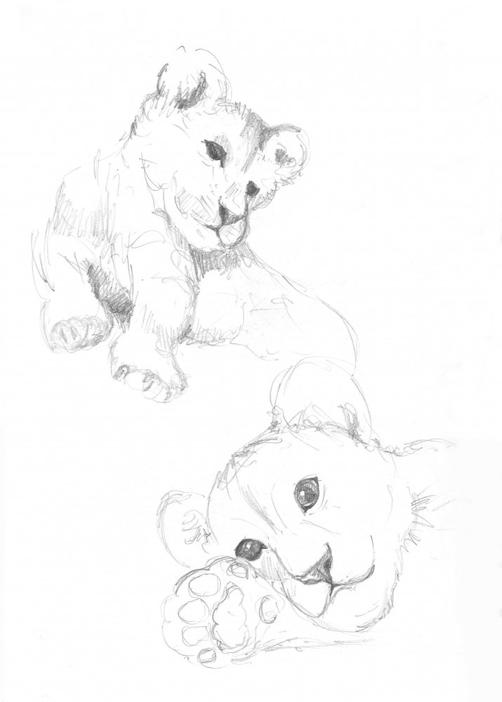 Lionceaux - Isabelle Brent