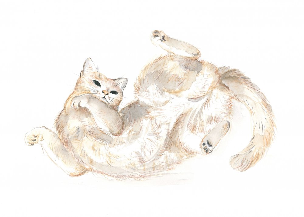 Chat joueur - Isabelle Brent
