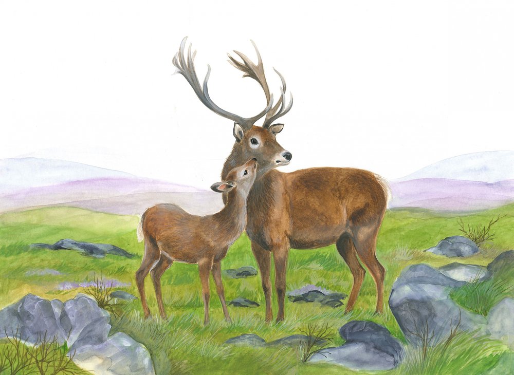 Cerf et jeune biche - Isabelle Brent