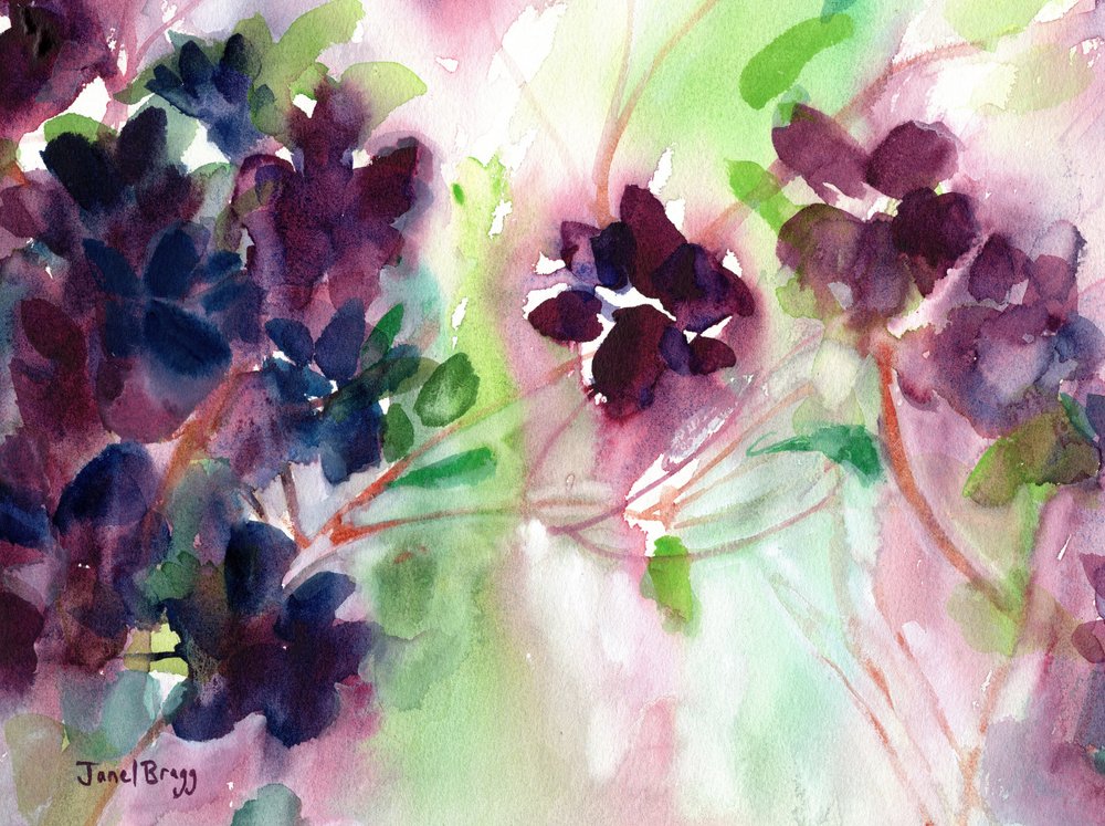 Fleurs violettes à l