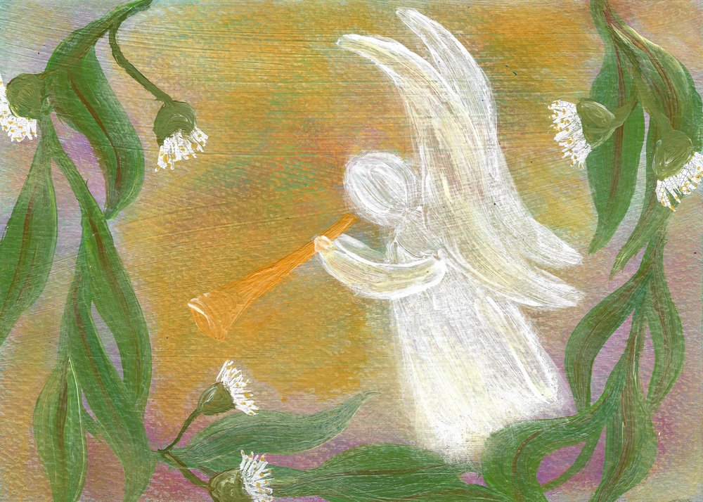 Eucalyptus « Trompette des anges » - Janine Brewster