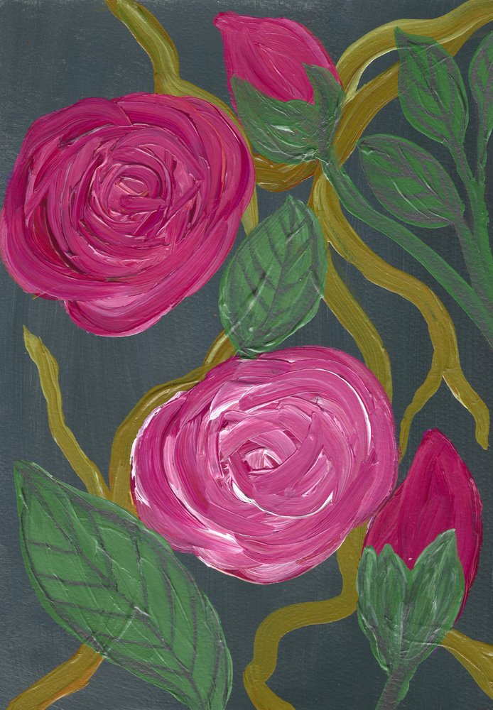 De somptueuses roses roses - Janine Brewster
