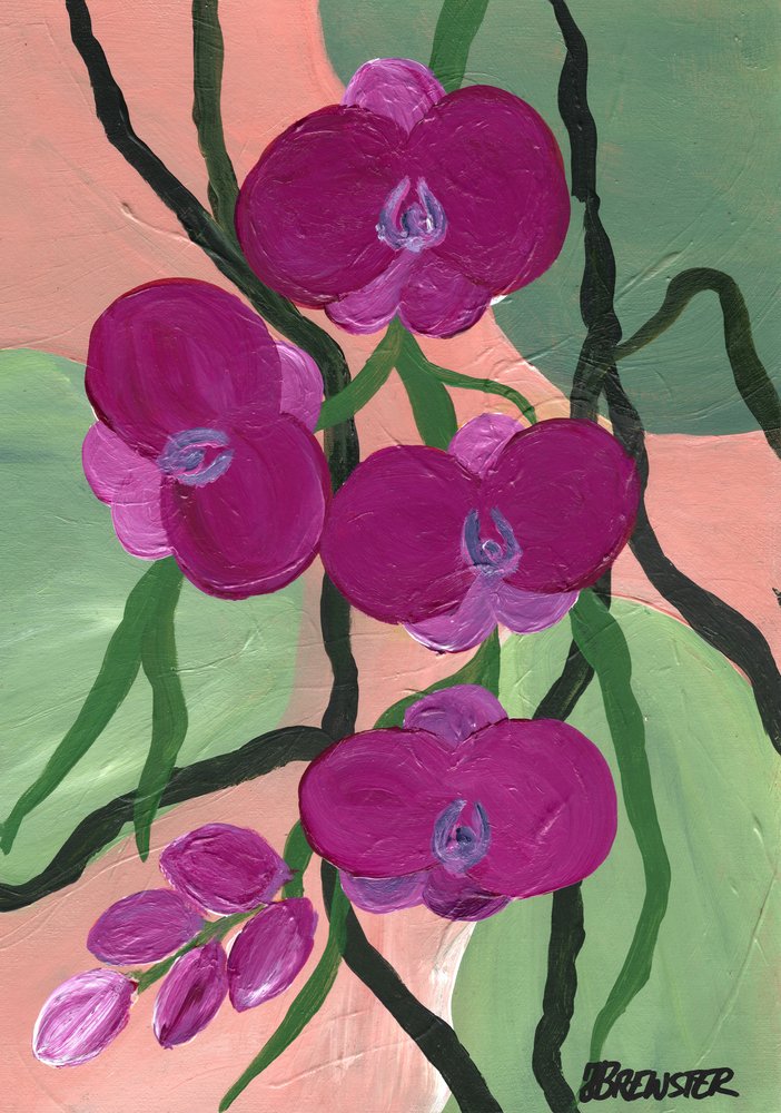 Fleurs d