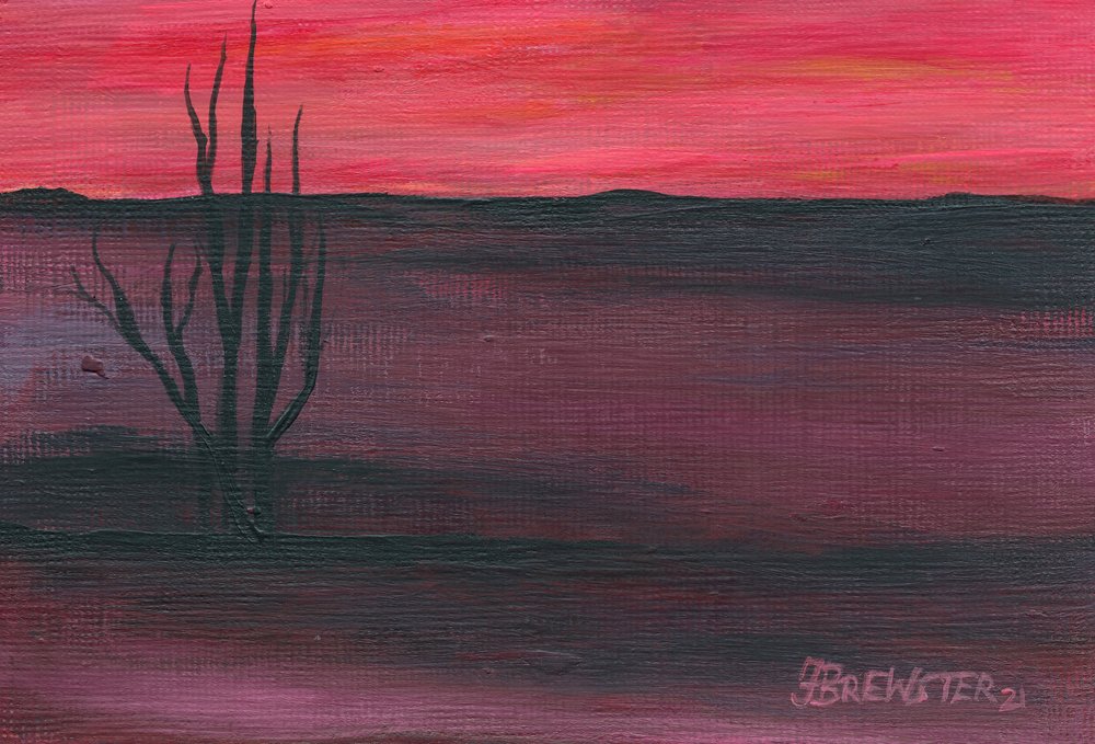 Crépuscule rose dans le désert - Janine Brewster