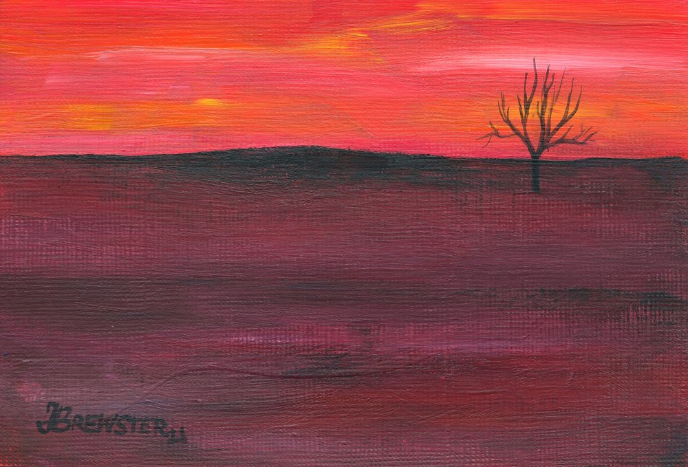 Arbre solitaire au coucher du soleil - Janine Brewster