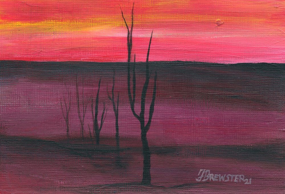 Un coucher de soleil éclatant dans le désert - Janine Brewster