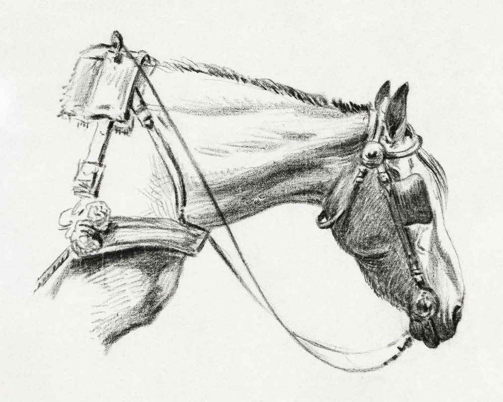 Tête de cheval (1820) - Jean Bernard
