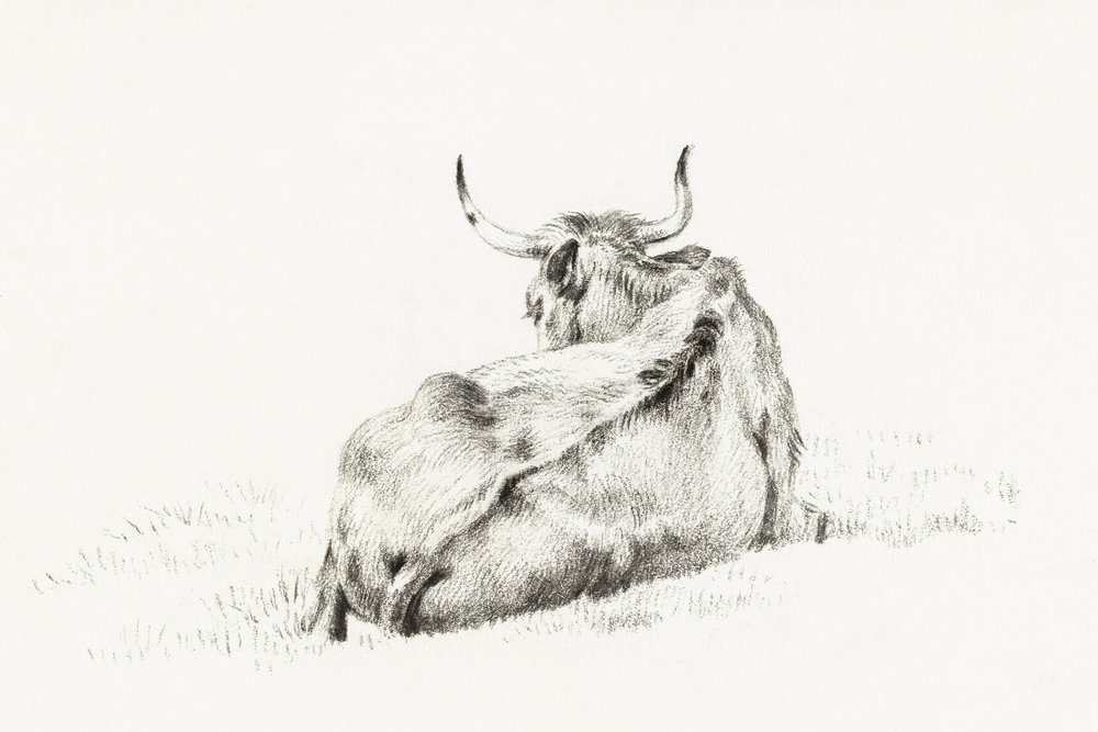 Vache couchée (1815) - Jean Bernard