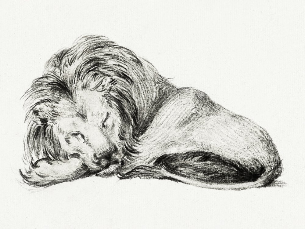 Le lion couché - Jean Bernard