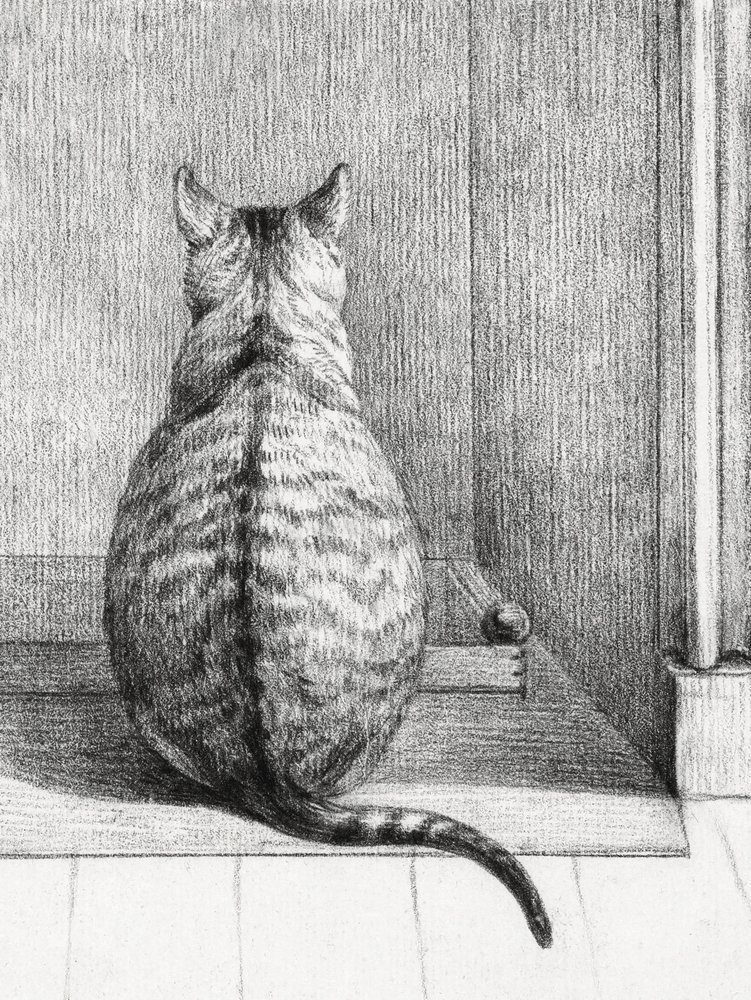 Chat assis, vu de dos (1812) - Jean Bernard