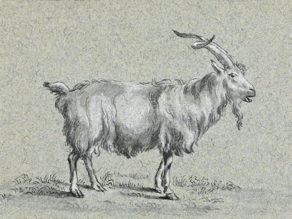 Chèvre debout, par Jean Bernard - Jean Bernard