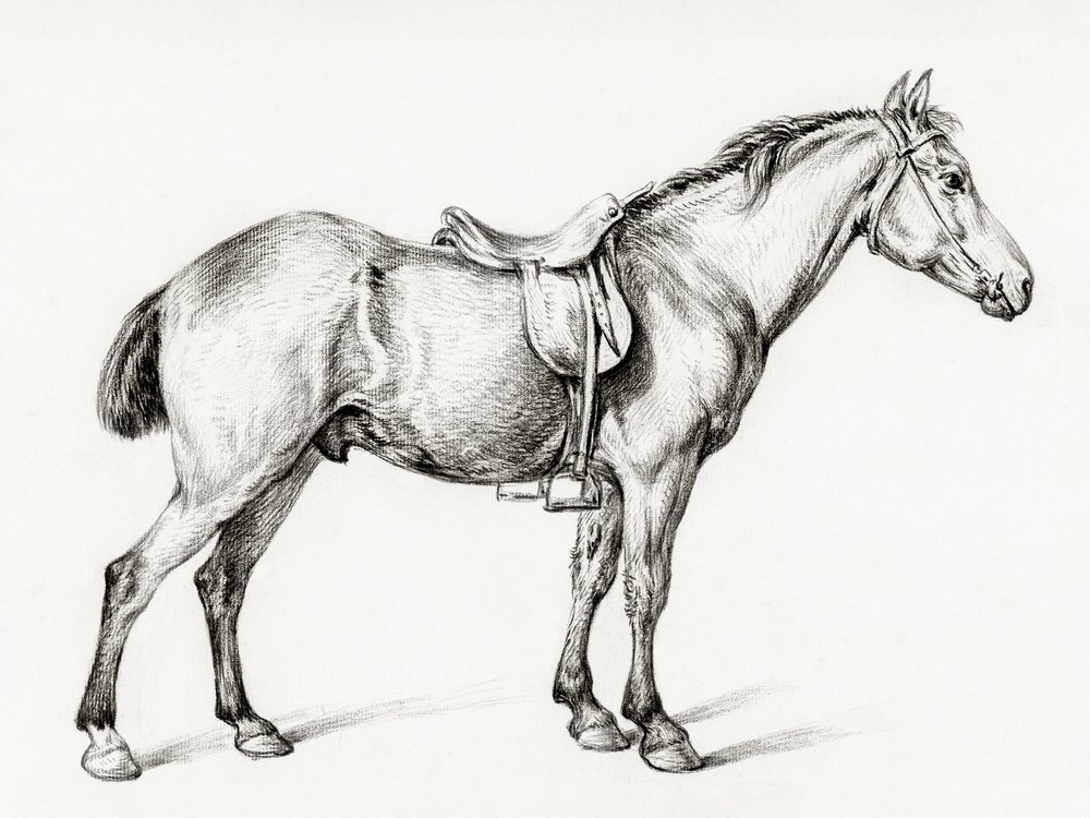 Cheval debout, de Jean Bernard (1775-1883) - Jean Bernard