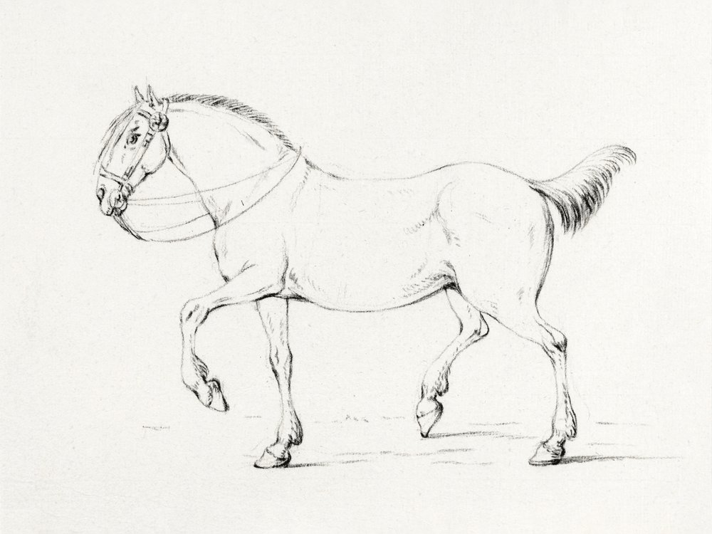 Stepping Horse (1775-1833) - Jean Bernard