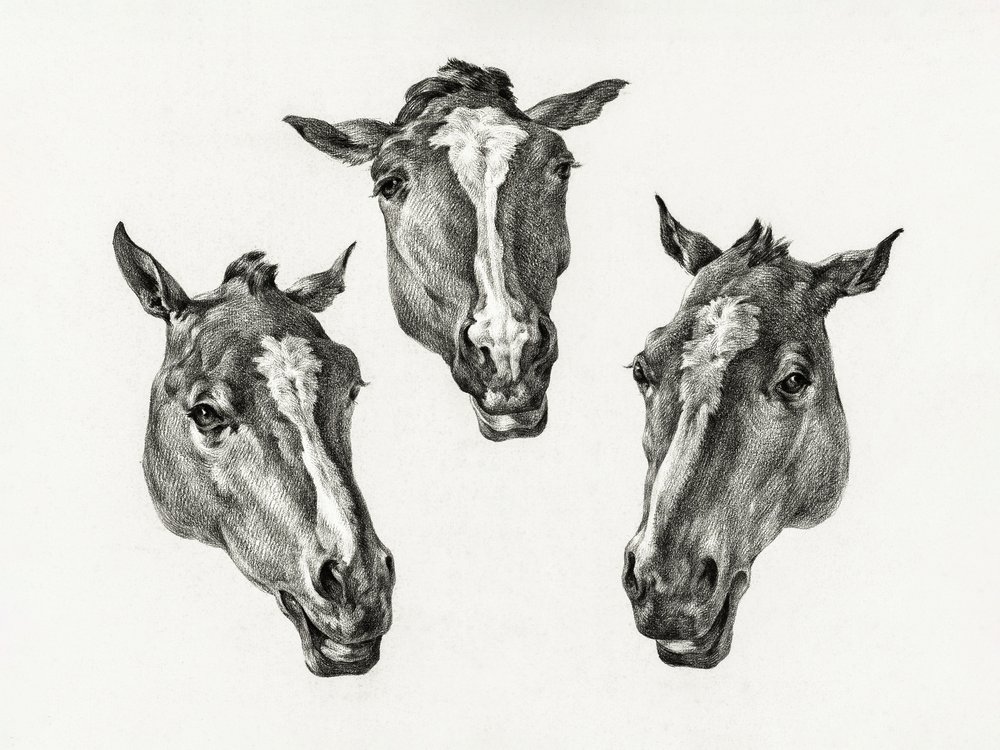 Trois têtes de cheval (1812) - Jean Bernard