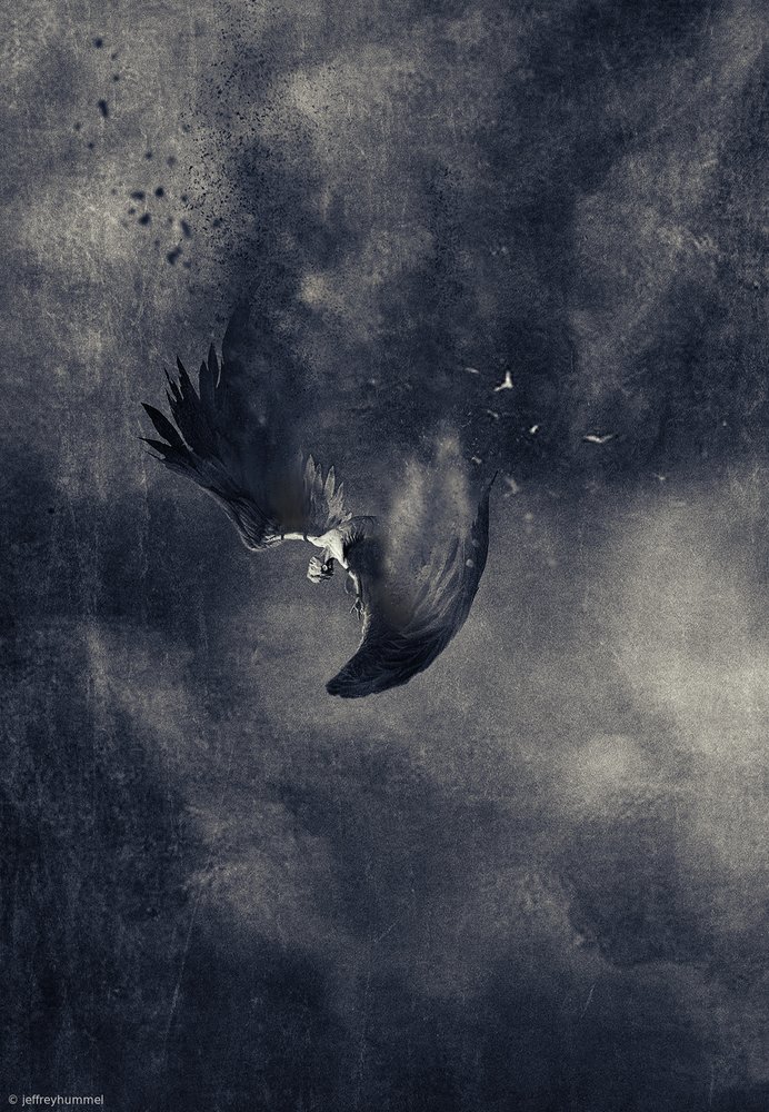  - Jeffrey Hummel