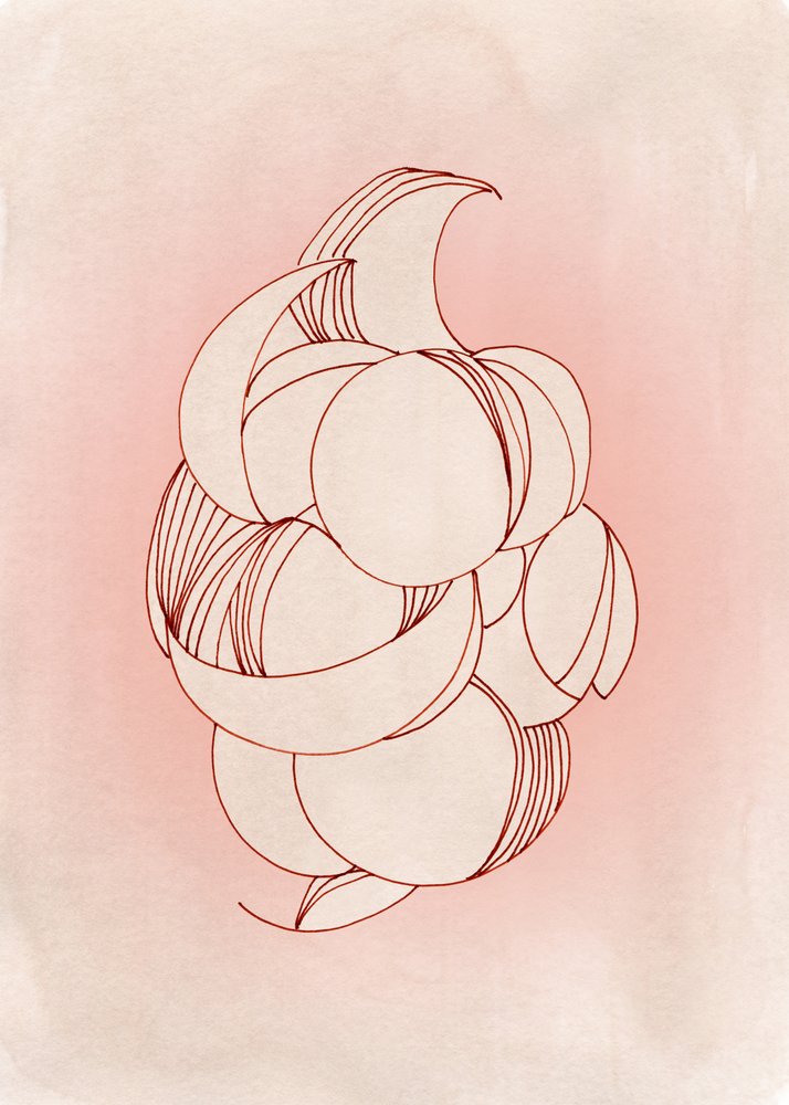 Formes délicates de pétales - Jenja Braun