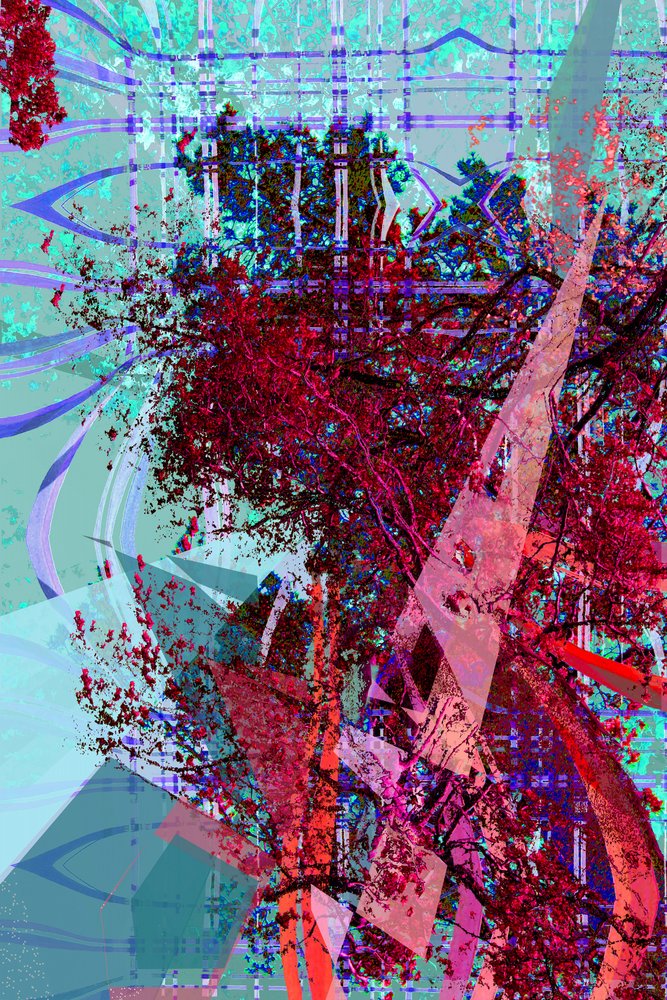 Nature abstraite et dynamique - Jenja Braun