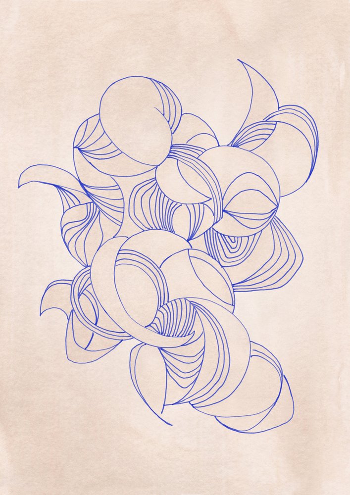 Lignes organiques fluides - Jenja Braun