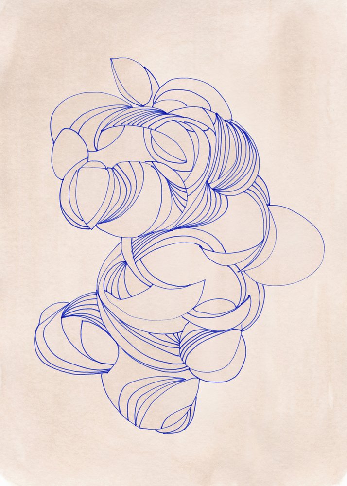 Curves Bleu Bio - Jenja Braun
