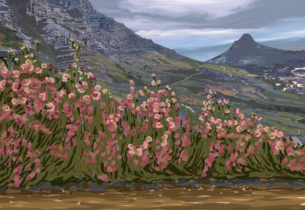 Vue sur la montagne aux fleurs roses - Jenna Alheit