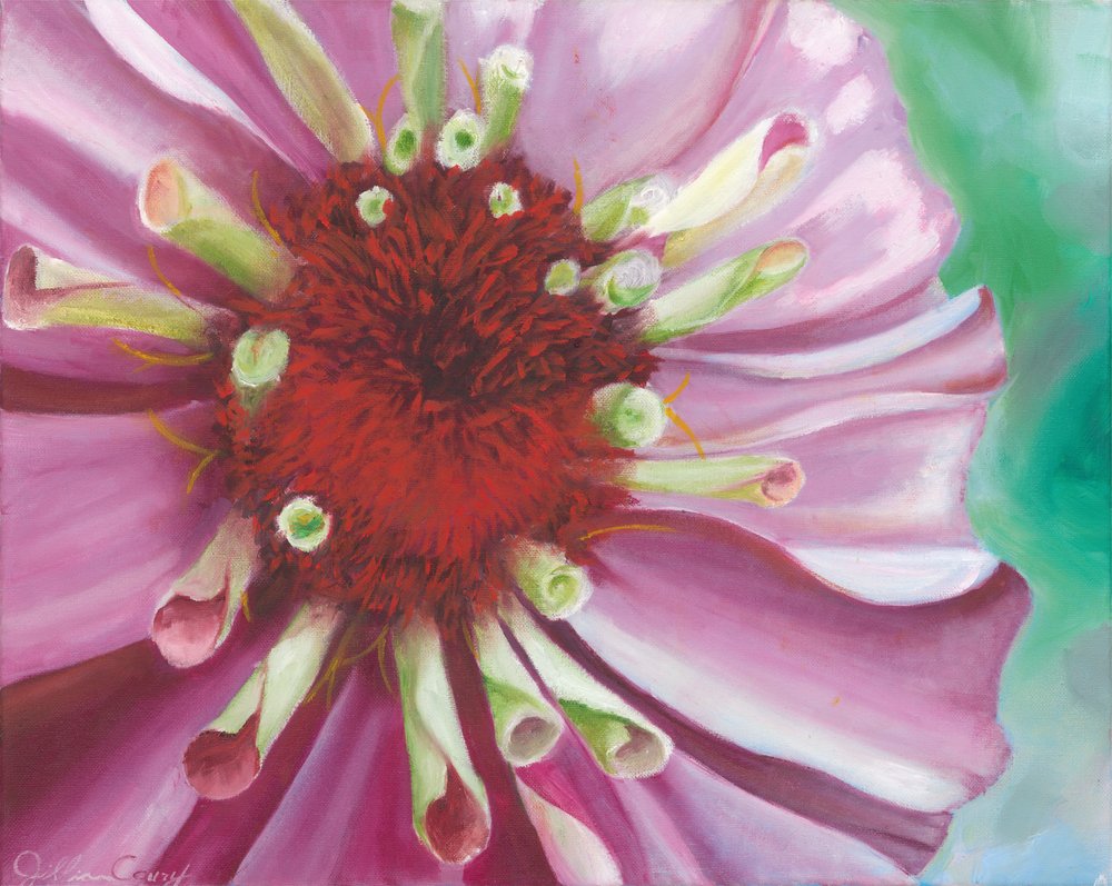 Une fleur de zinnia aux couleurs éclatantes - Jillian Claire