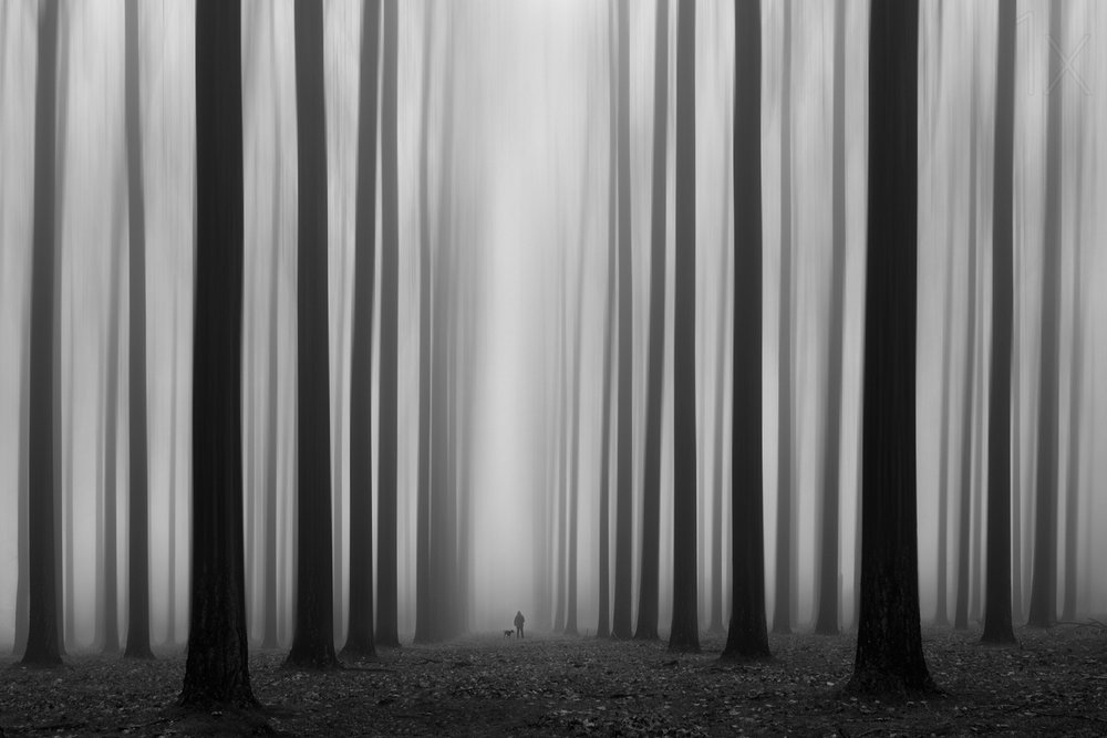 Sentier de la forêt brumeuse - Jochen Bongaerts