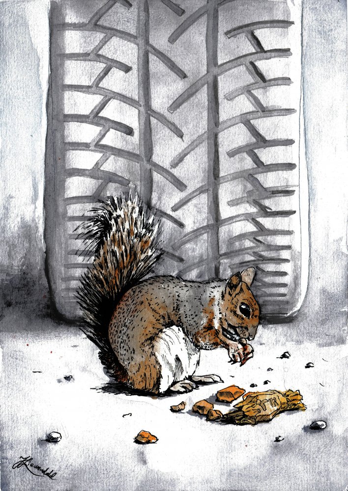 « Écureuil » par Tire Track - Johan Liewendahl