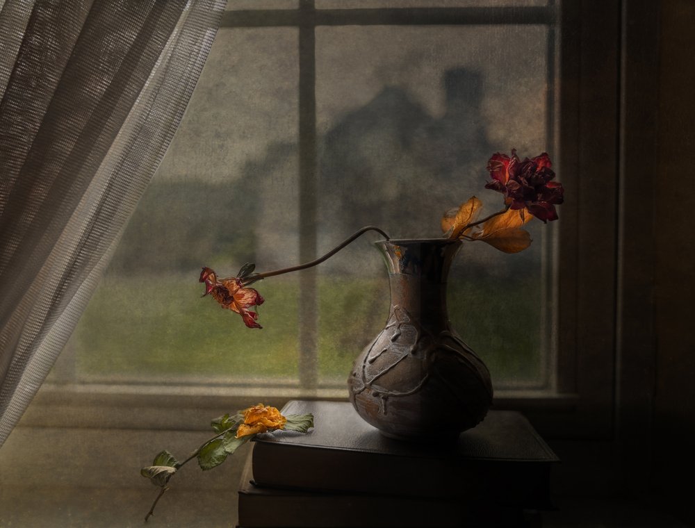 Vue depuis la fenêtre sur des roses séchées - John-Mei Zhong
