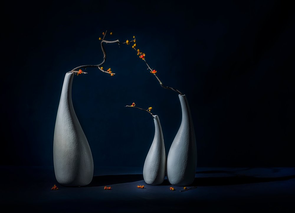 Vases élégants ornés de fleurs - John-Mei Zhong