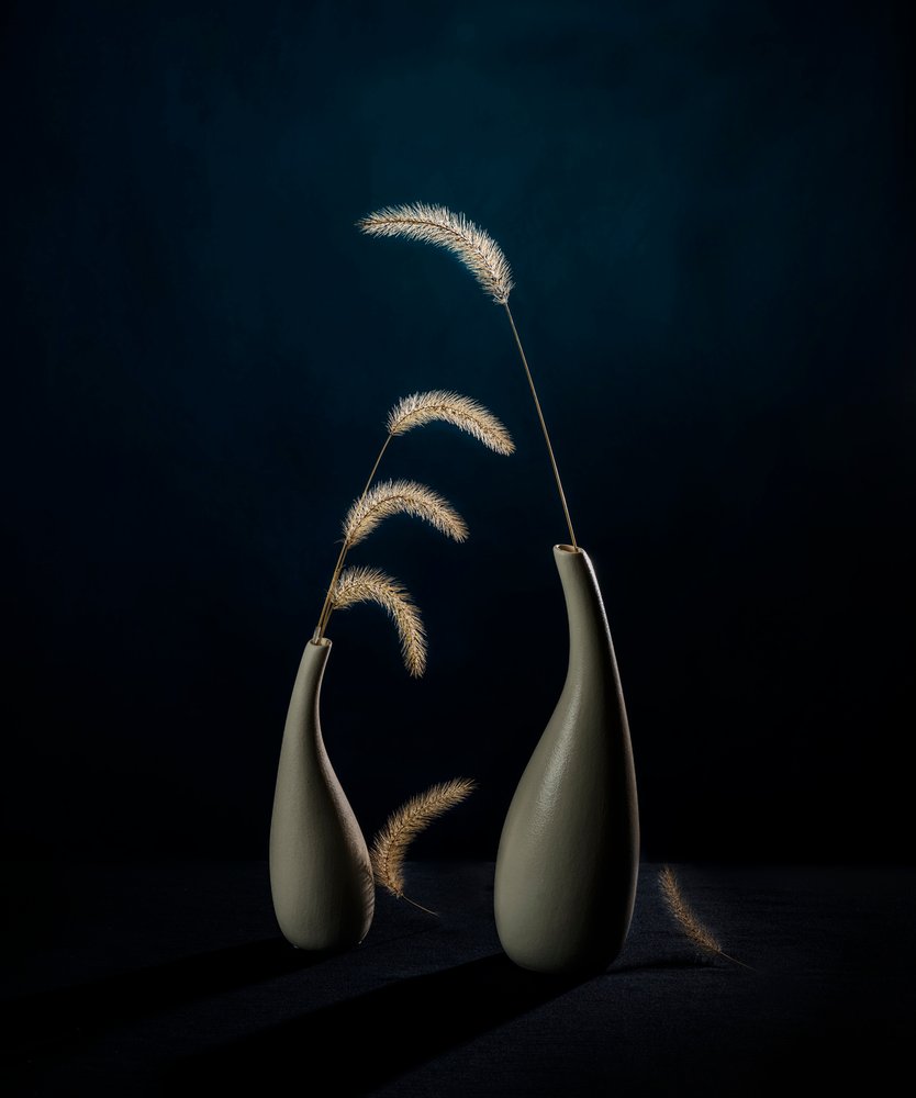Vases botaniques Moody - John-Mei Zhong