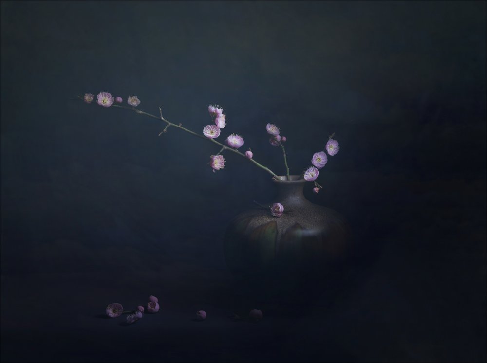 Nature morte aux fleurs de prunier - John-Mei Zhong