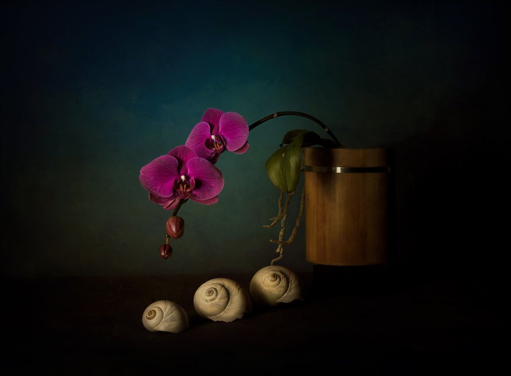 Nature morte aux orchidées violettes - John-Mei Zhong