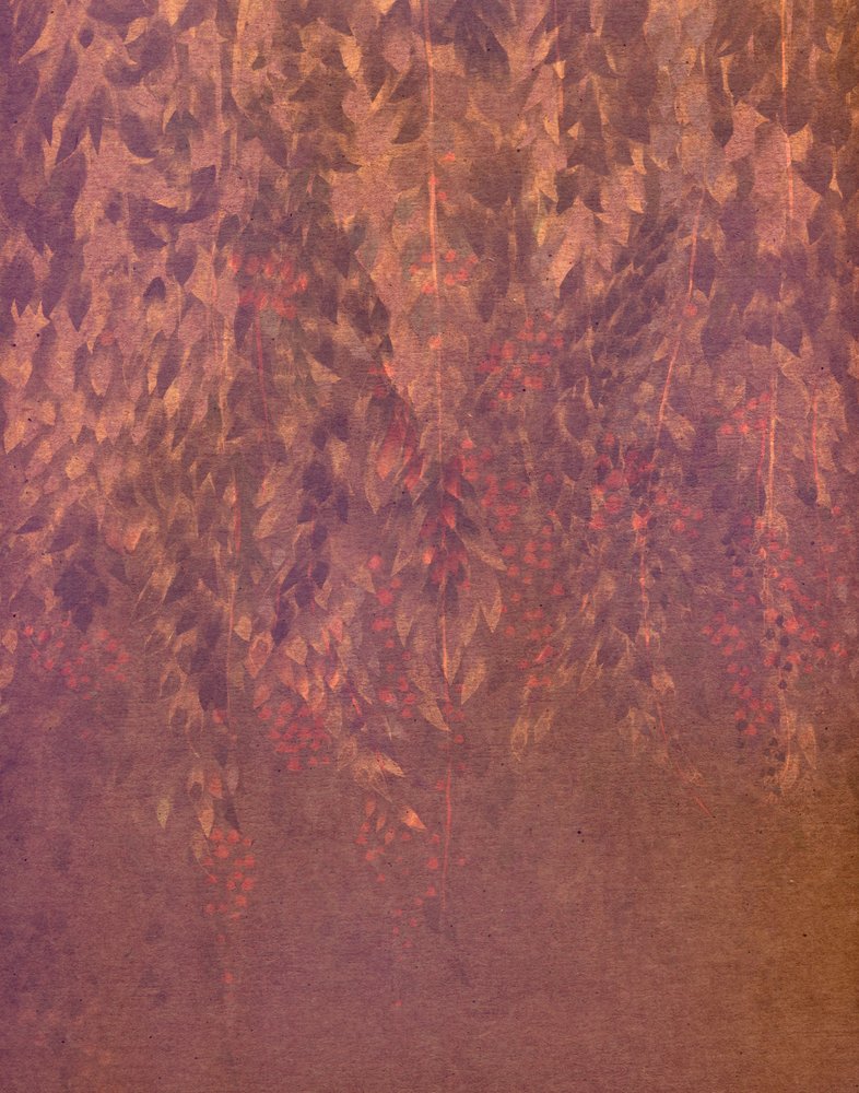 Fleurs de glycine en cascade - Josie George