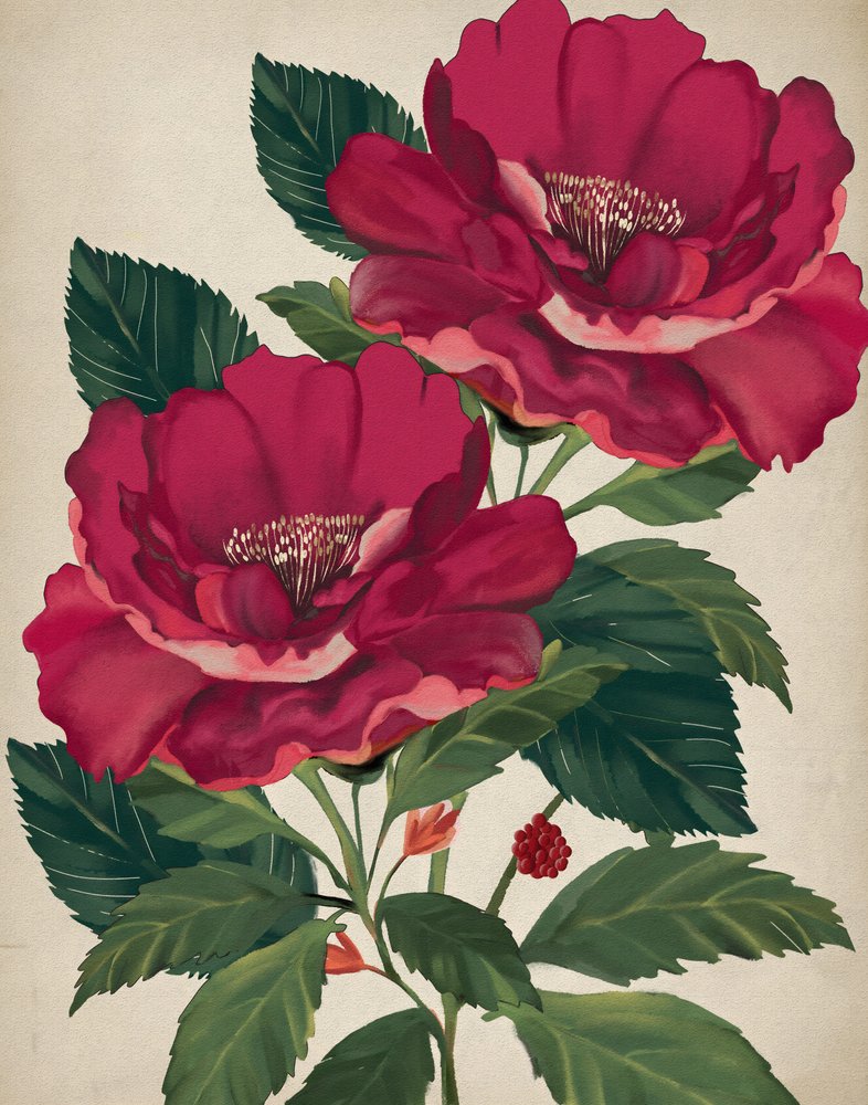 La Rose de la Providence - Josie George