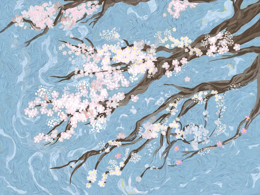 Fleurs de cerisier au printemps - Bleu - Josie George