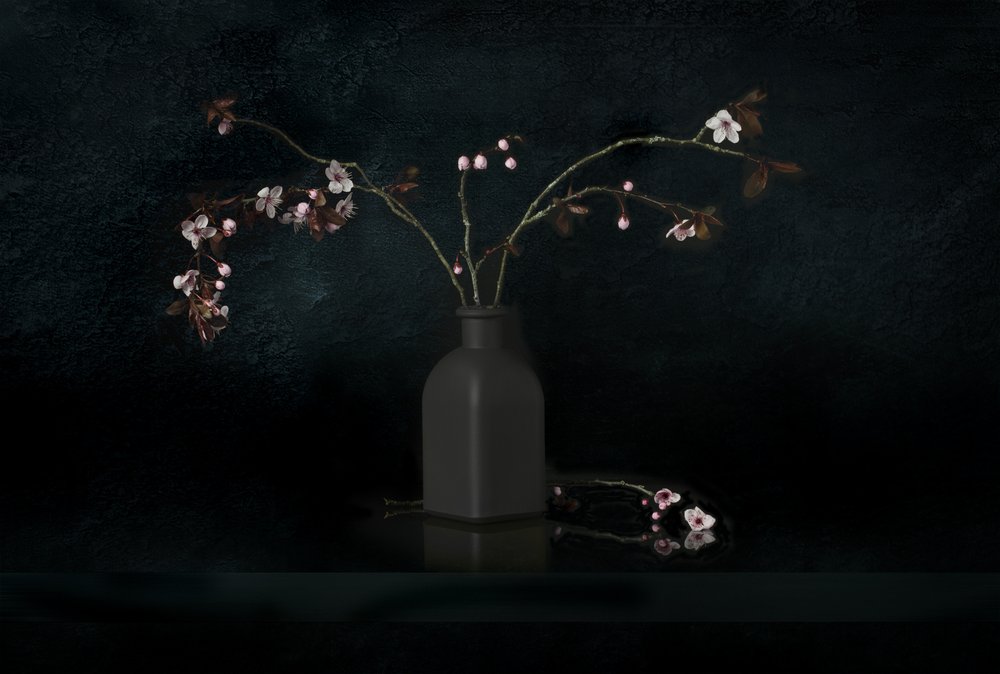 Nature morte aux fleurs de cerisier - Juan Antonio Palacios