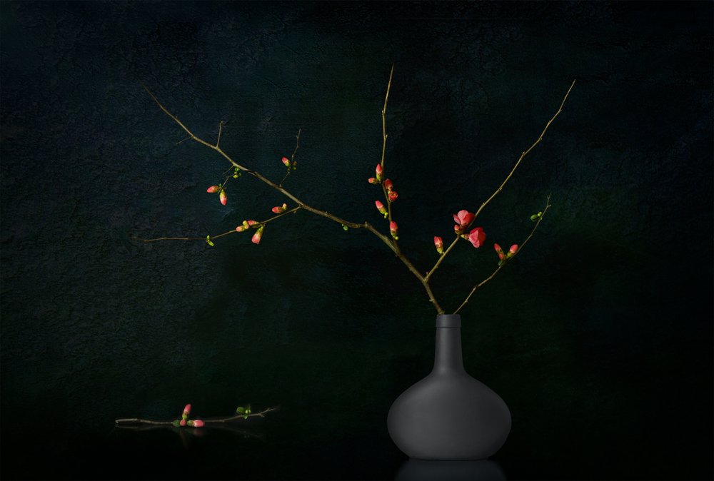Branches sombres en fleurs - Juan Antonio Palacios