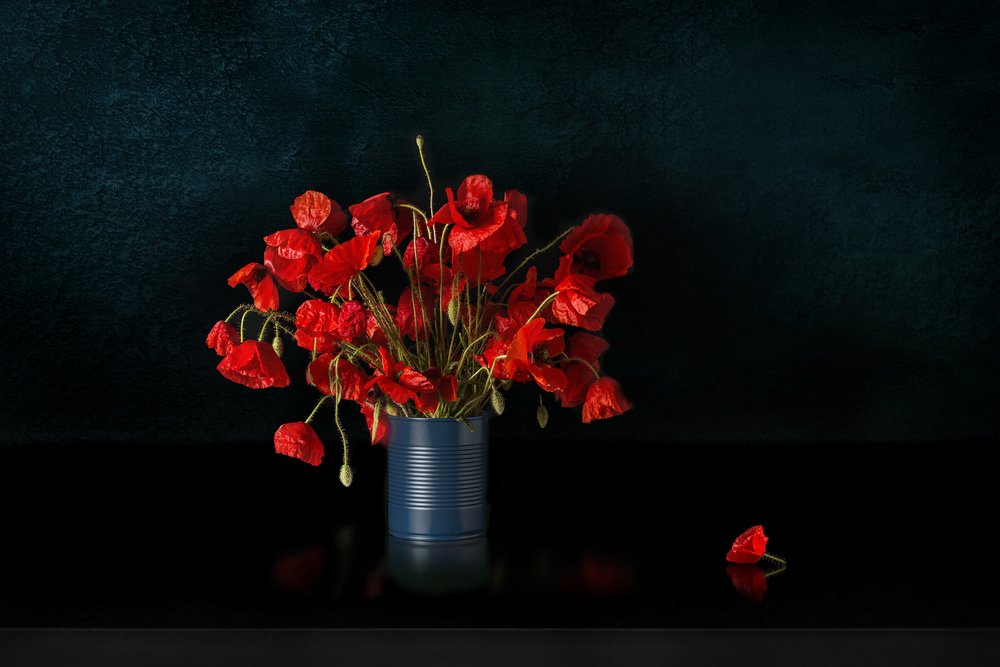 Des coquelicots rouges spectaculaires - Juan Antonio Palacios